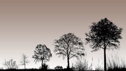 65a69c080de60a001e0db379 Dreamstime Xl 172656006 Hero 65a69c080de60a001e0db379 Dreamstime Xl 172656006 Hero