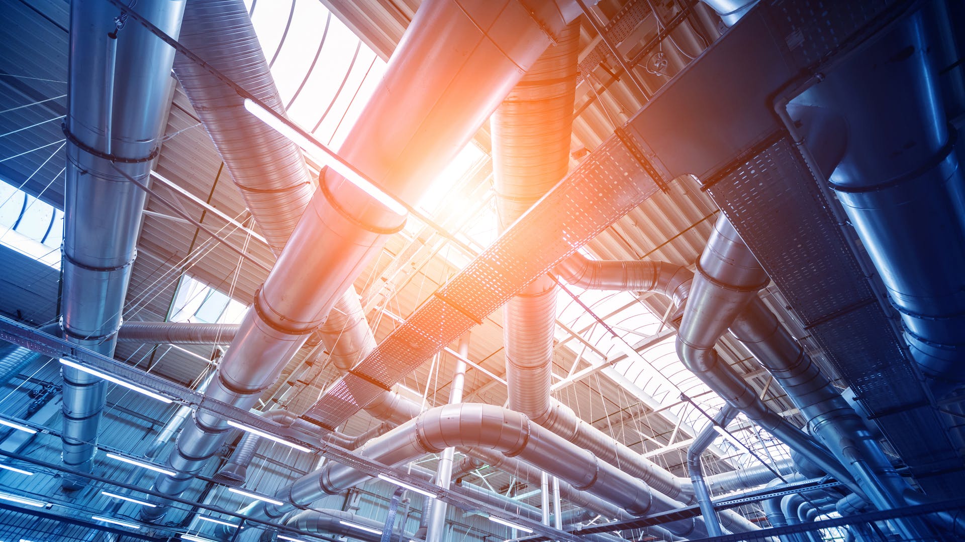 65a69c5144f352001e9a9465 Dreamstime Xl 178270477 Hero