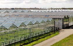 65a69f32e71de0001e7ec553 Horticulture 3282700 65a69f32e71de0001e7ec553 Horticulture 3282700