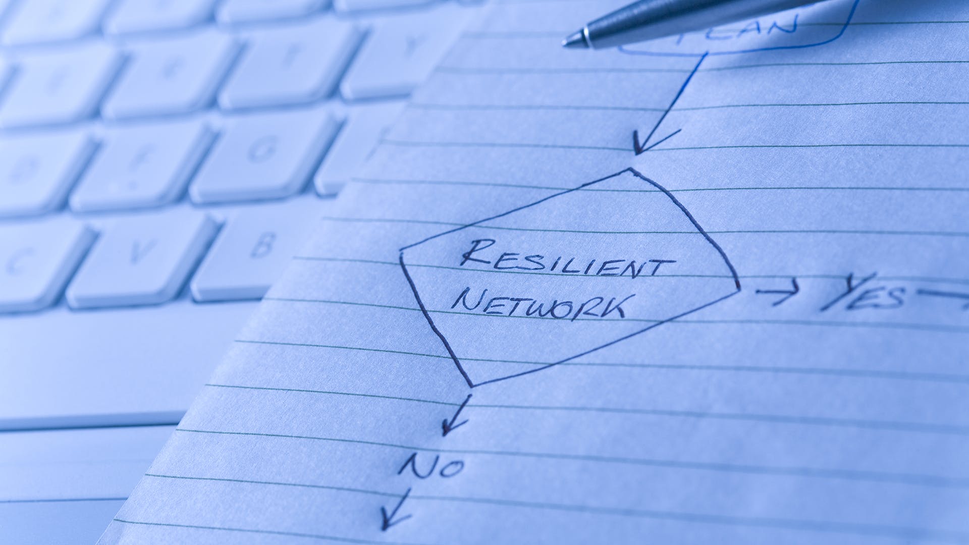 65a69f7d0de60a001e0db67b Importance Net Resiliency Dreamstime Xl 5692722 He