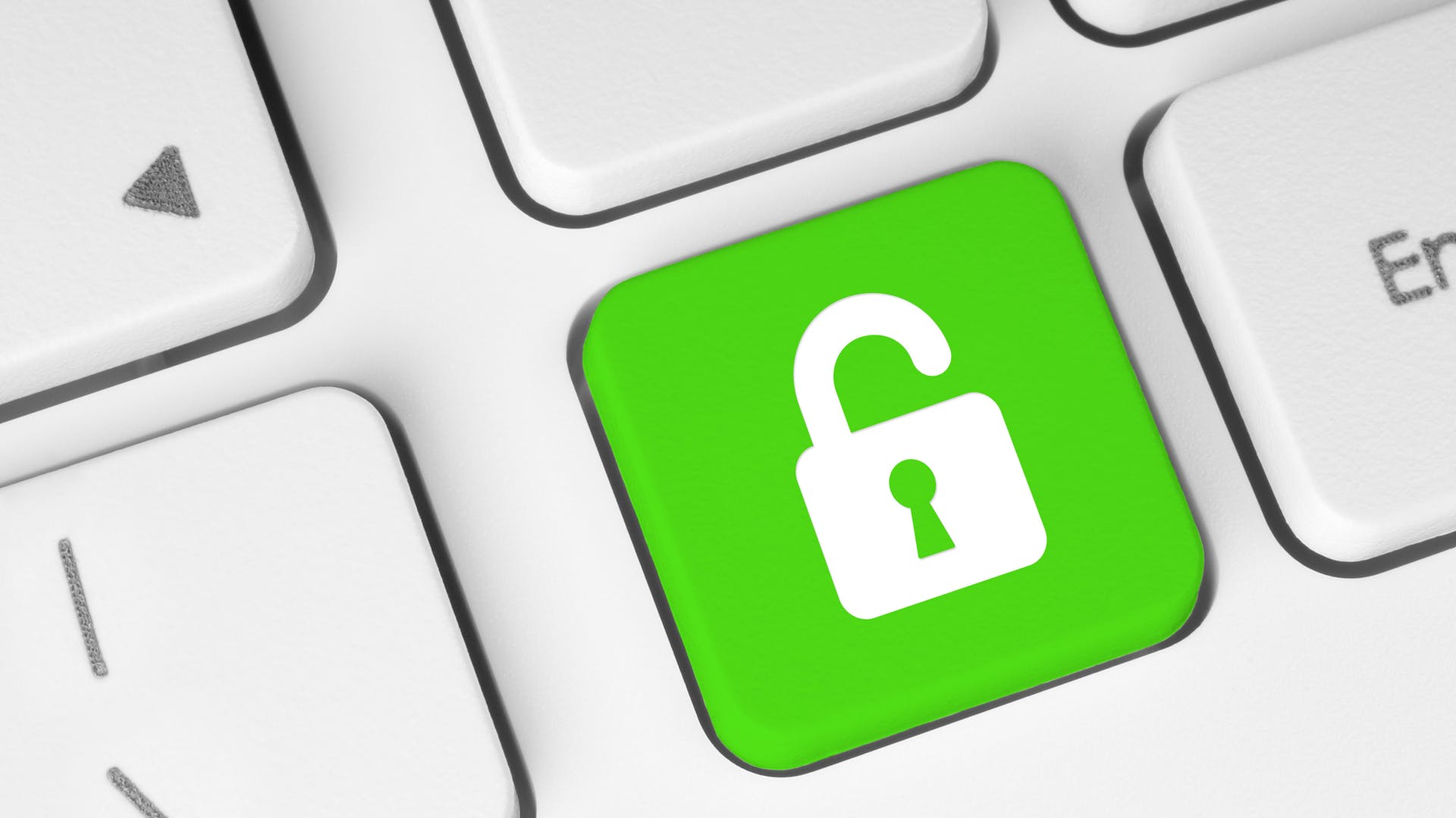 65a6a09e4852bb001e5d0180 Dreamstime Xl 31467170 Hero