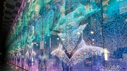 65d63364526475001ed48dcd Flexmirror Hd Expo 65d63364526475001ed48dcd Flexmirror Hd Expo