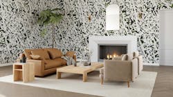 65d6345f16958e001e291a31 Innovations Foliage 65d6345f16958e001e291a31 Innovations Foliage