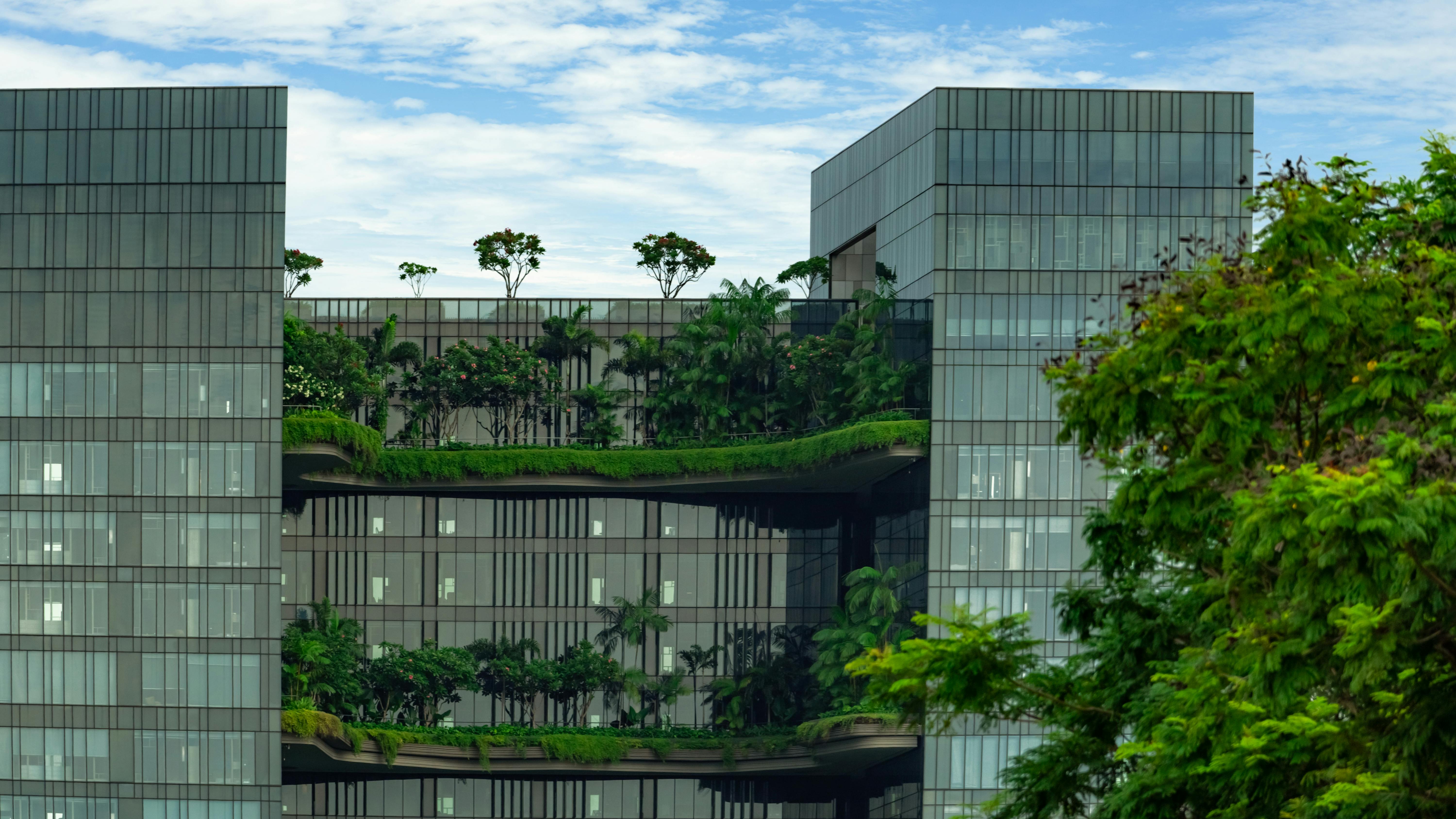 65de5a1c7661a3001e588add Net Zero Dreamstime Xxl 151755774