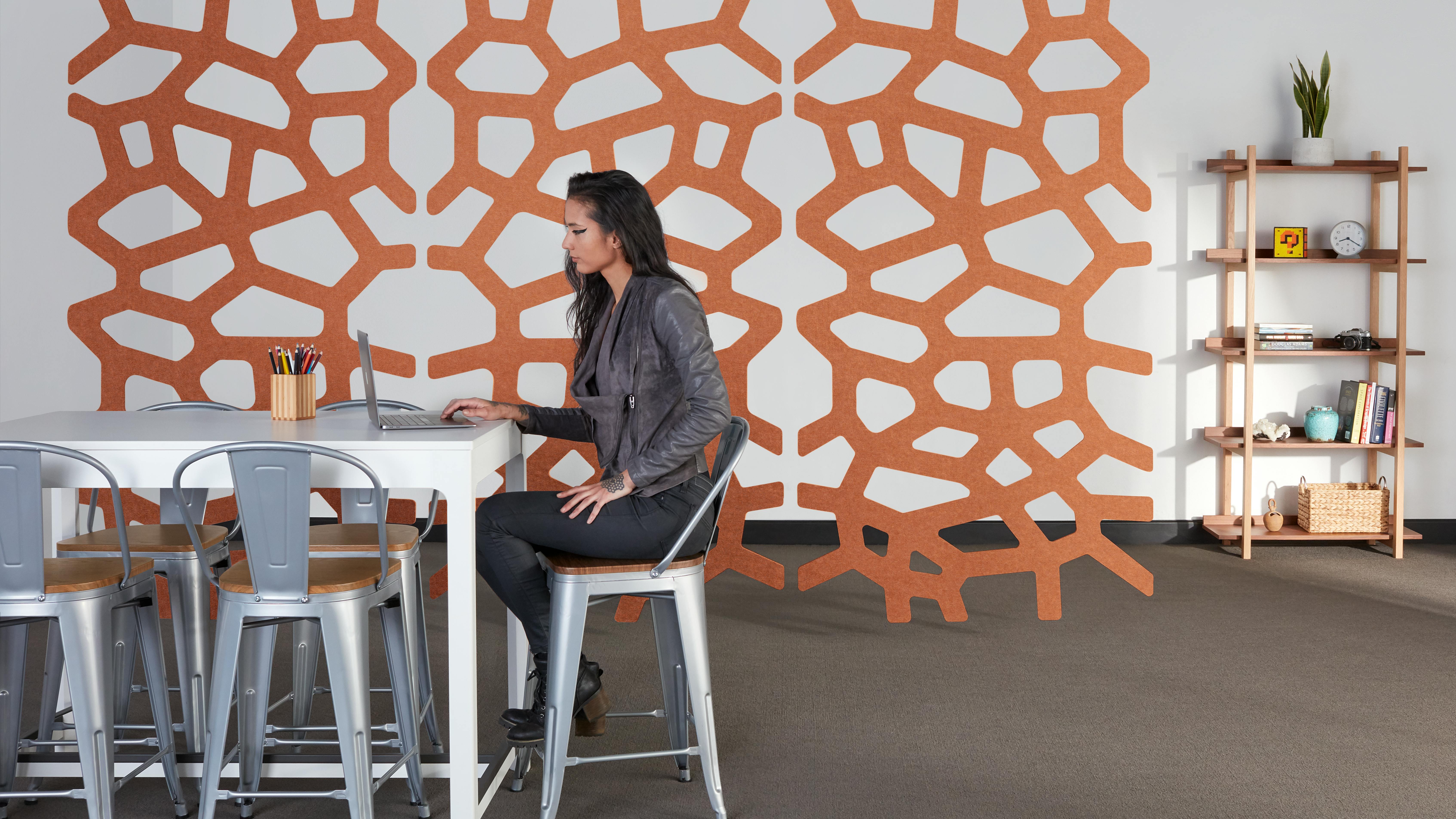 kirei echoscreen coral