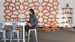 65f4b824751a5e001e5d775e Kireiechoscreencoral167person 65f4b824751a5e001e5d775e Kireiechoscreencoral167person