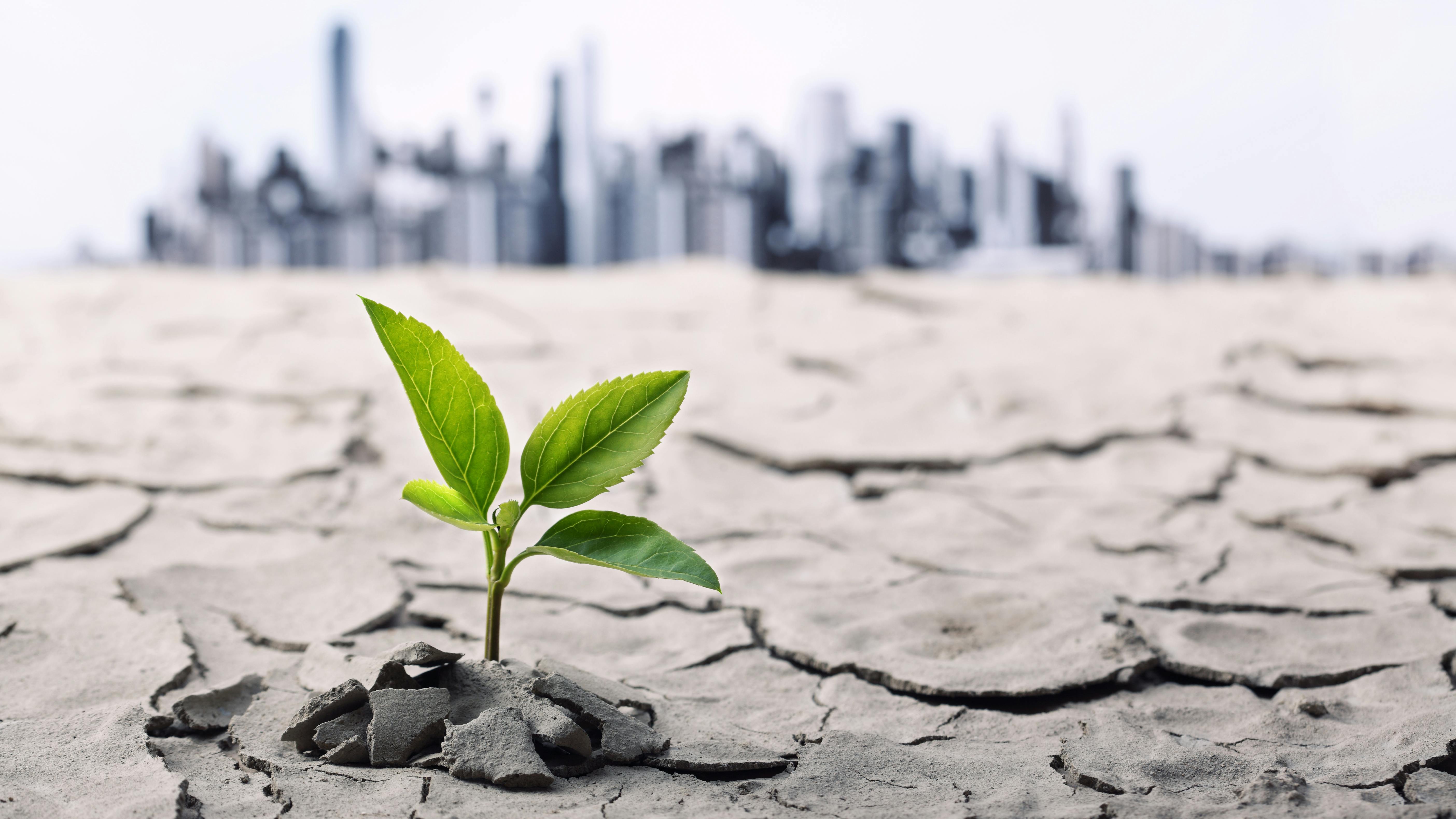 gettyimages586087414