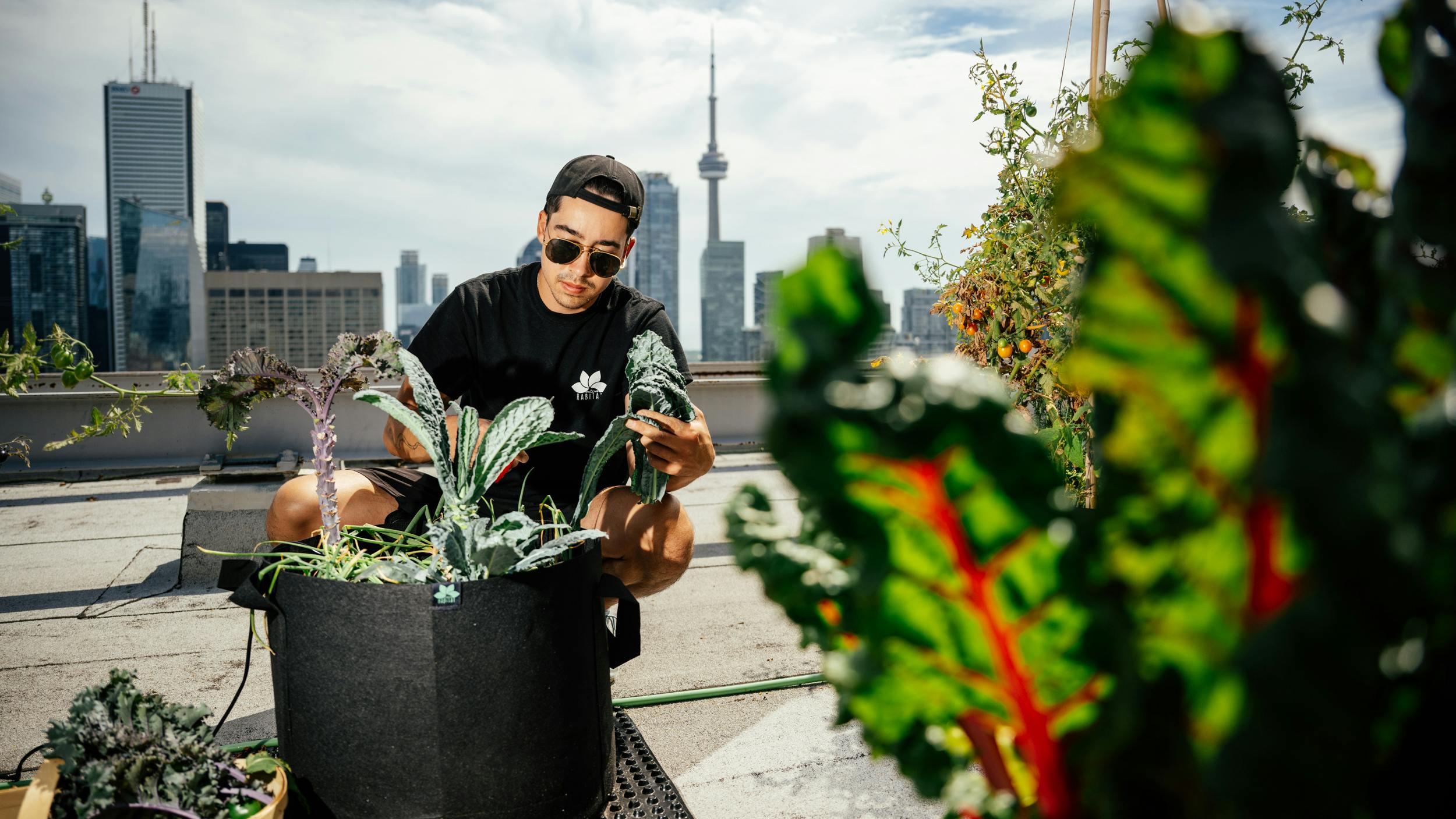 A MicroHabitat technician tends to crops at an urban farming installation.