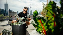 A MicroHabitat technician tends to crops at an urban farming installation. A MicroHabitat technician tends to crops at an urban farming installation.