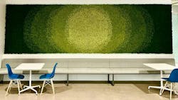 The vibrant plants in this living wall can help contribute to a sense of wellbeing. The vibrant plants in this living wall can help contribute to a sense of wellbeing.