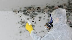 Removing mold or mildew can be tricky. Affected surfaces should be treated with a high-quality mold remover or disinfectant. Removing mold or mildew can be tricky. Affected surfaces should be treated with a high-quality mold remover or disinfectant.