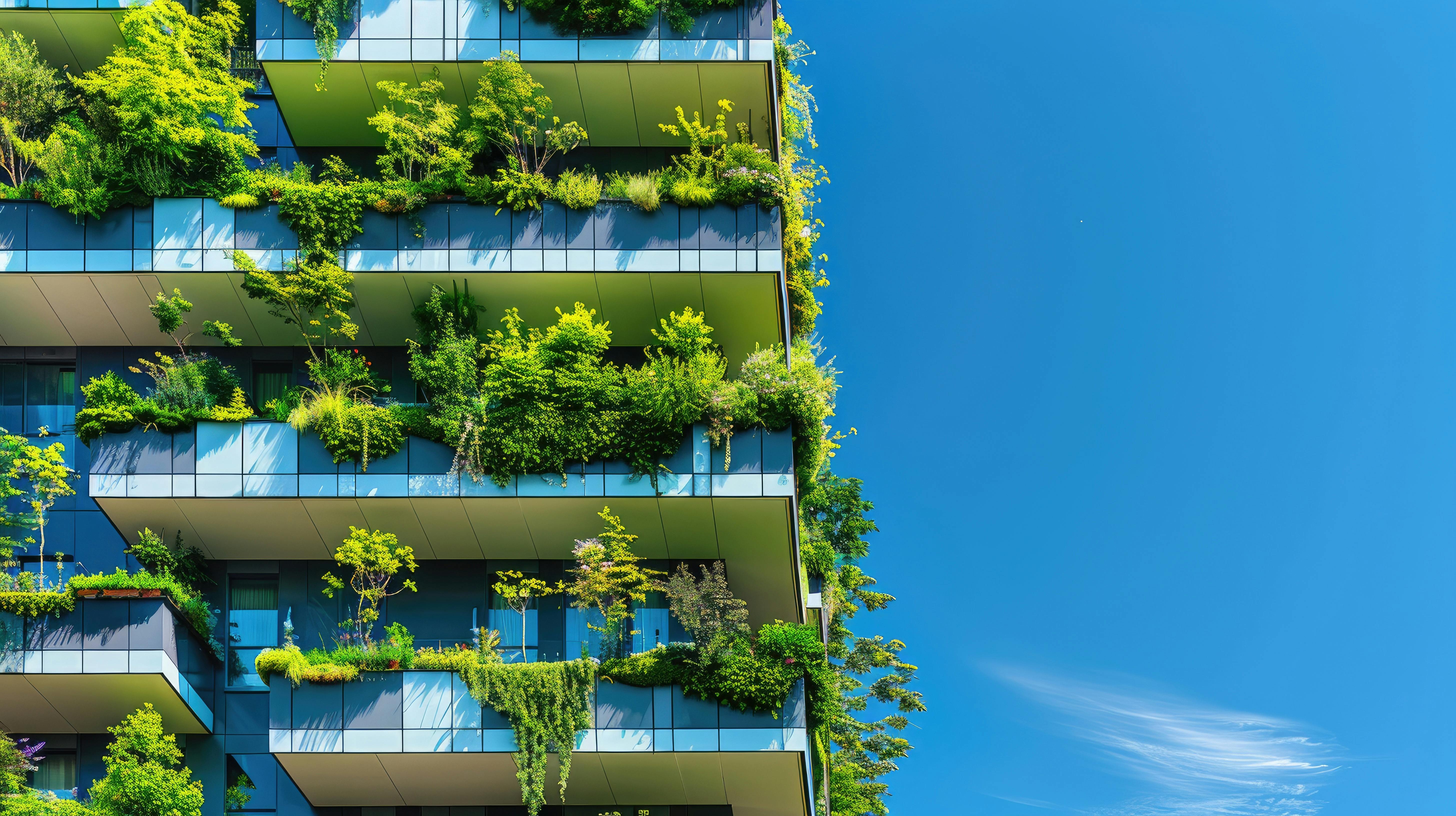 66ce33abfa86c660da0cc660 Dreamstime Xxl 322709848 Id 322709848 Liliia Kanun