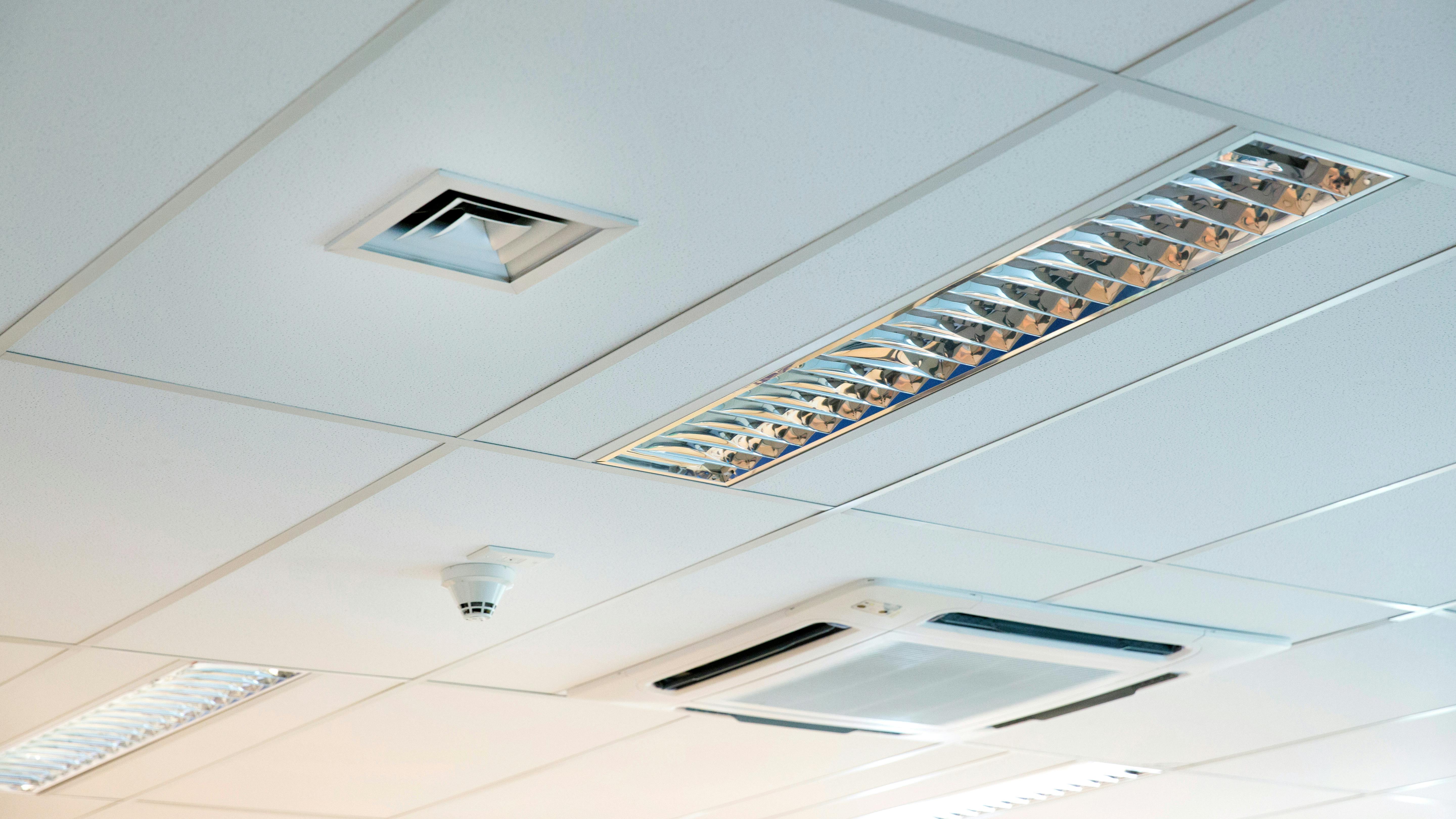 67572706ab25e925dee117c5 Dreamstime Xxl 106052567