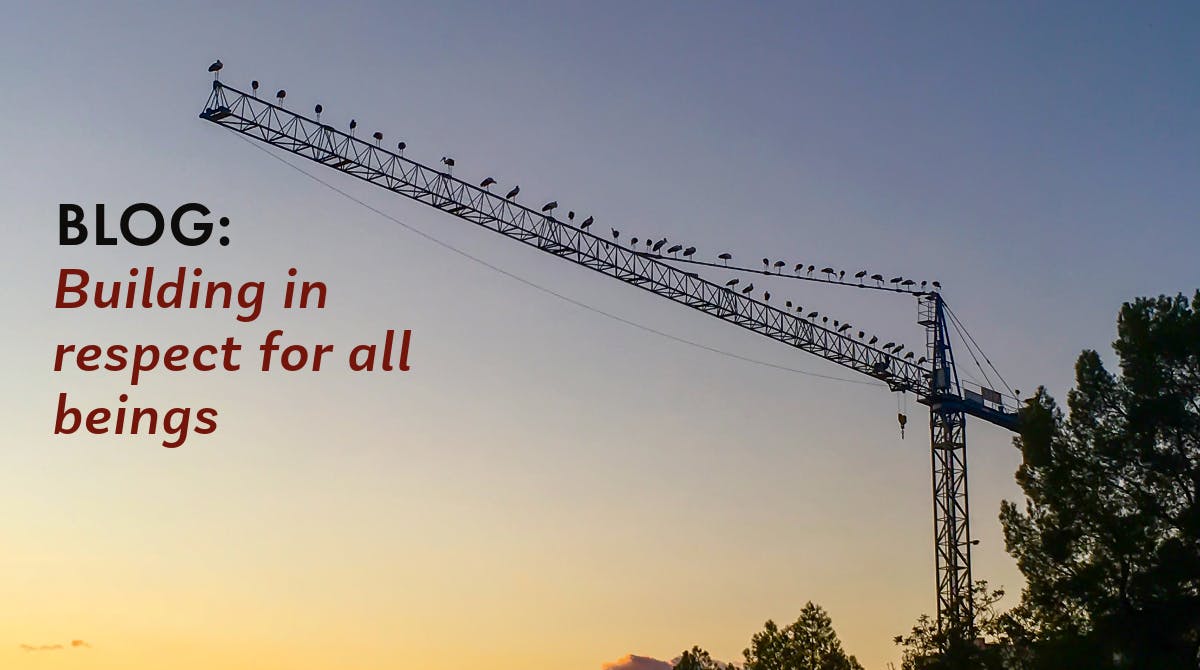 677ea5d9aa3a12a067b23724 Blog Birds 101123