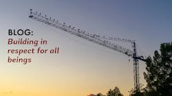 677ea5d9aa3a12a067b23724 Blog Birds 101123 677ea5d9aa3a12a067b23724 Blog Birds 101123