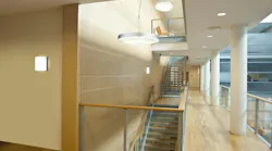 These Glamox luminaires (above) use LED chips on a board (pictured below) rather than LED tubes.