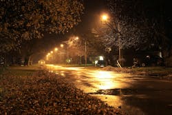The method that scientists might use to examine the effect these lights have on humans, animals, plants, or the night sky could vary significantly from similar studies elsewhere. The method that scientists might use to examine the effect these lights have on humans, animals, plants, or the night sky could vary significantly from similar studies elsewhere.