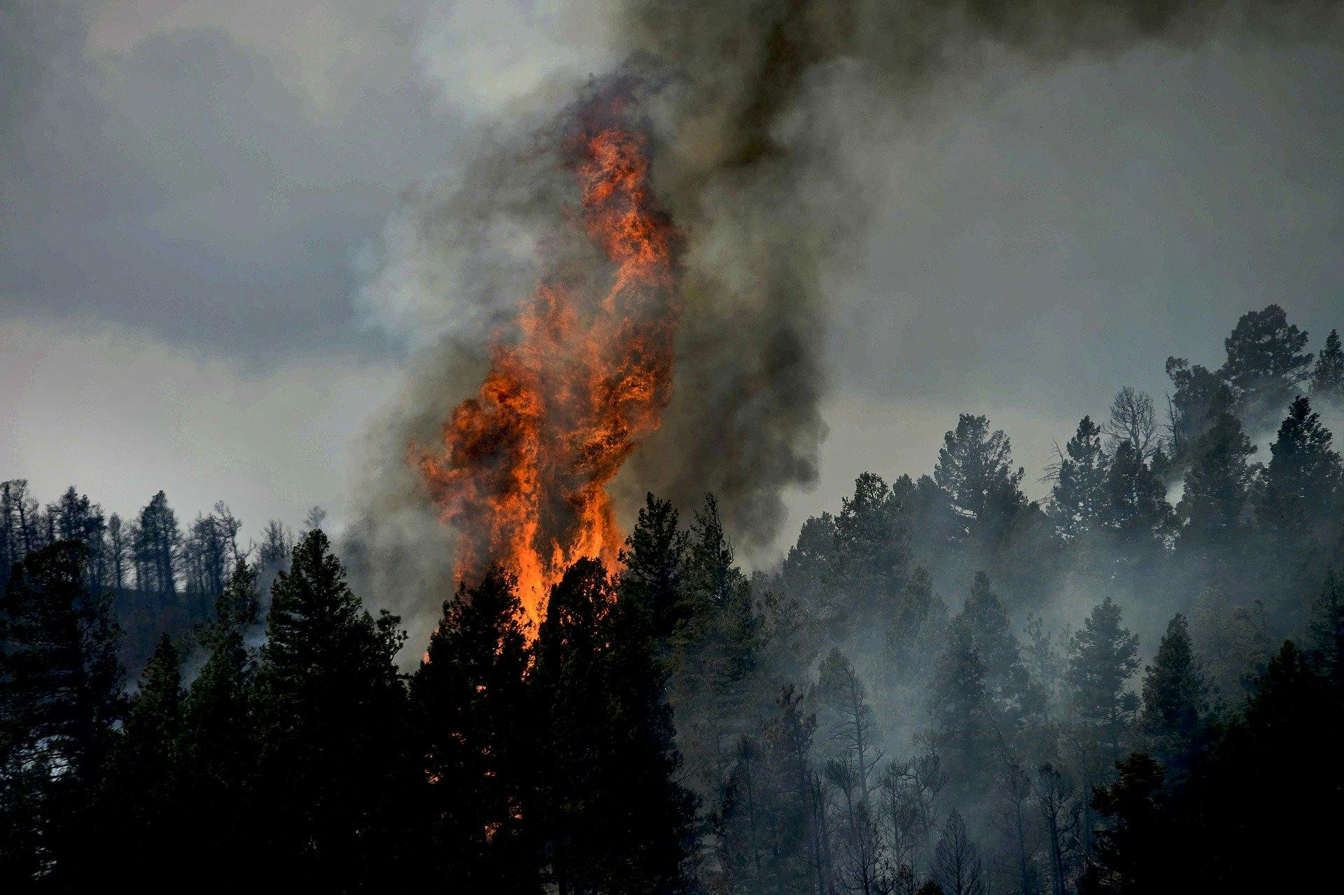 Photo credit: Image of Colorado fire is not representative of the 2022 fire in Colorado and used for accompaniment only. Image by 12019 via Pixabay; used under free license for commercial or non-commercial purposes.