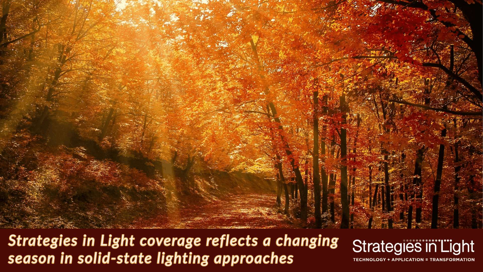 Photo credit: Image by valiphotos via Pixabay; used under free license for commercial or non-commercial purposes.