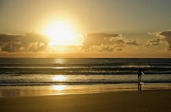 Some Zumtobel SSL luminaires will employ Nichia human-centric LED technologies that deliver a daytime-mimicking spectrum and improved color rendering for different application uses in lighting for wellbeing as well as museums and other high-end illumination applications. (Photo credit: Image by Siggy Nowak via Pixabay; used under free license for commercial or non-commercial purposes.) Some Zumtobel SSL luminaires will employ Nichia human-centric LED technologies that deliver a daytime-mimicking spectrum and improved color rendering for different application uses in lighting for wellbeing as well as museums and other high-end illumination applications. (Photo credit: Image by Siggy Nowak via Pixabay; used under free license for commercial or non-commercial purposes.)