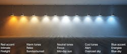 Dynamic, tunable white lighting provides a broad spectrum of options for any space. (Photo credits: All images courtesy of Lutron Electronics Co. Inc. except where expressly indicated.) Dynamic, tunable white lighting provides a broad spectrum of options for any space. (Photo credits: All images courtesy of Lutron Electronics Co. Inc. except where expressly indicated.)