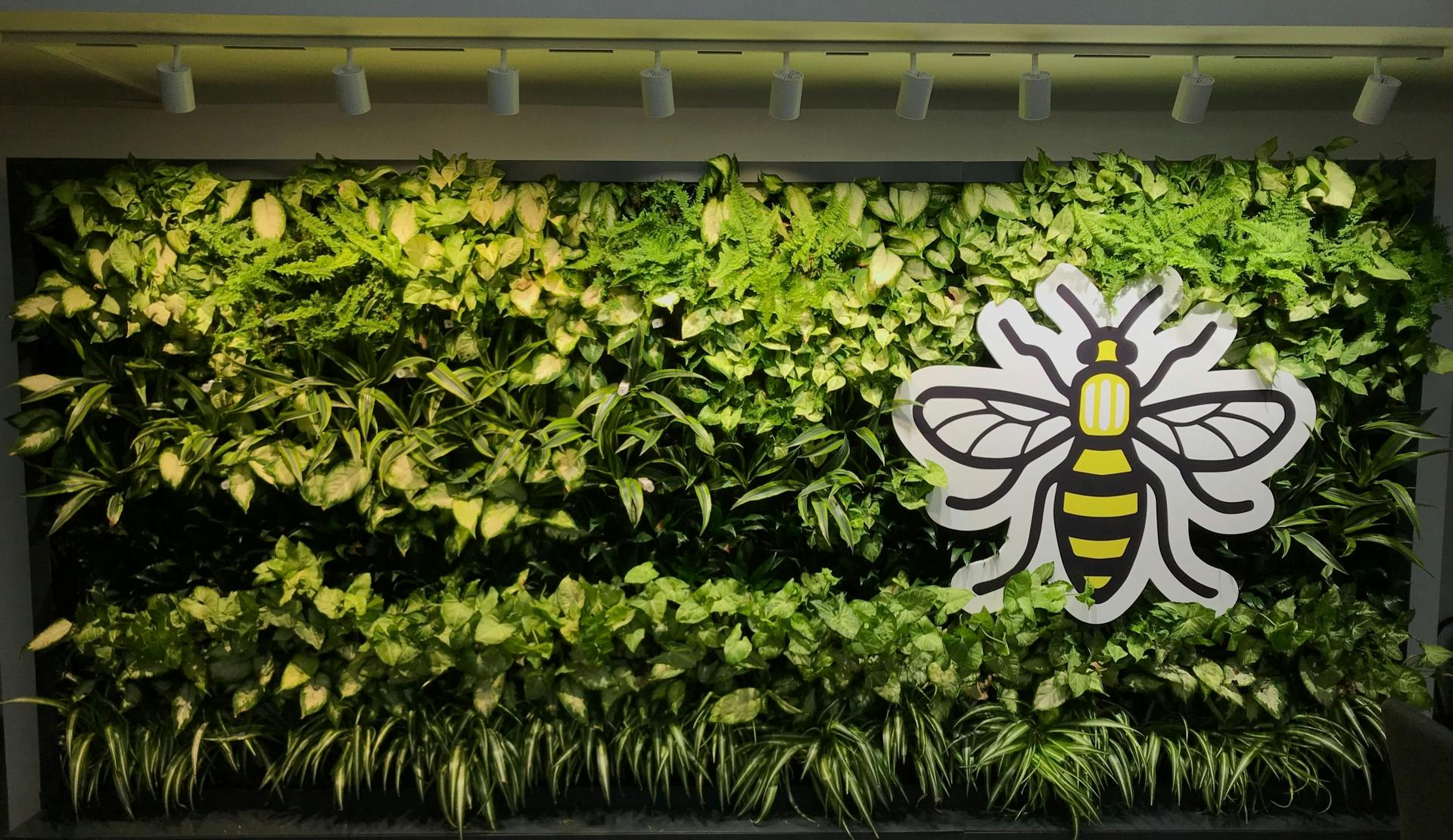 In a study carried out by SSL manufacturers and researchers, participants evaluated the appearance of plants in a plant wall, determining whether various CCTs affected the plants&rsquo; leaf and stem health, with spectral power distribution at those varying CCTs deemed to be impactful. (Photo credit: Image courtesy of Xicato.)