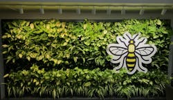 In a study carried out by SSL manufacturers and researchers, participants evaluated the appearance of plants in a plant wall, determining whether various CCTs affected the plants’ leaf and stem health, with spectral power distribution at those varying CCTs deemed to be impactful. (Photo credit: Image courtesy of Xicato.) In a study carried out by SSL manufacturers and researchers, participants evaluated the appearance of plants in a plant wall, determining whether various CCTs affected the plants’ leaf and stem health, with spectral power distribution at those varying CCTs deemed to be impactful. (Photo credit: Image courtesy of Xicato.)