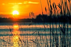 Photo credit: Image by Tomasz Marciniak via Pixabay; used under free license for commercial or non-commercial purposes. Photo credit: Image by Tomasz Marciniak via Pixabay; used under free license for commercial or non-commercial purposes.