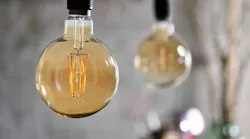 Signify has been outsourcing the production of all of its LED lamps such as these traditional filament styles. That will change with the Klite acquisition. (Photo credit: Image courtesy of Signify.)