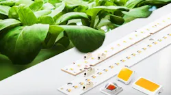 Packaged LED news: Cree, Samsung, Luminus, Everlight, Citizen, Seoul, and more