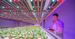 Signify’s Q1 profits jump amid limp sales and layoffs Signify’s Q1 profits jump amid limp sales and layoffs