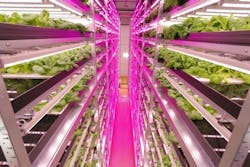 LED lighting advances in horticultural applications, boosts productivity LED lighting advances in horticultural applications, boosts productivity
