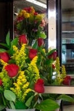 677eae18aa3a1212b7b23c8c Content Dam Leds En Articles 2013 07 Ge Lights Sta 677eae18aa3a1212b7b23c8c Content Dam Leds En Articles 2013 07 Ge Lights Sta