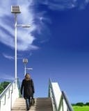 677eb0cac70eb3bcd1763d14 Content Dam Leds En Articles 2008 05 Show Report L