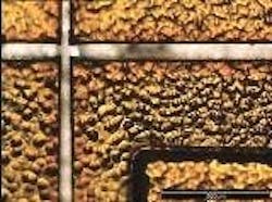 677eb22658ec895f3783b146 Content Dam Leds En Articles Print Volume 5 Issue 677eb22658ec895f3783b146 Content Dam Leds En Articles Print Volume 5 Issue