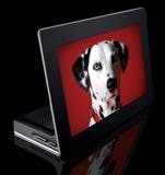 677eb22faa3a1223cfb24275 Content Dam Leds En Articles 2008 10 Kodak Materia