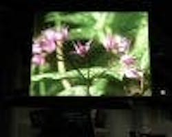 677eb2e458ec89d25e83b23f Content Dam Leds En Articles 2004 11 Black Area An 677eb2e458ec89d25e83b23f Content Dam Leds En Articles 2004 11 Black Area An