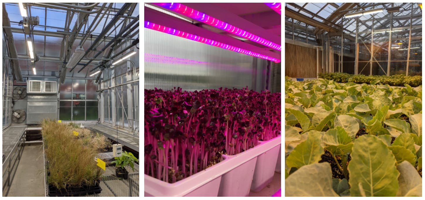 RII's data-driven insights inform its CEA lighting best practices guide as well as the November Resilient Harvests Conference plan. (Image from p. 8 of &ldquo;Best Practices Guide &mdash; Lighting for Controlled Environment Agriculture Operations&rdquo;; https://bit.ly/3ByueDQ)