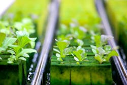 Photo credit: Image by iamereri via Pixabay; used under free license for commercial or non-commercial purposes. Photo credit: Image by iamereri via Pixabay; used under free license for commercial or non-commercial purposes.