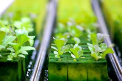 Photo credit: Image by iamereri via Pixabay; used under free license for commercial or non-commercial purposes. Photo credit: Image by iamereri via Pixabay; used under free license for commercial or non-commercial purposes.