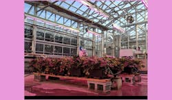 677eb34ec70eb32f02764051 Glase Blog 071219 677eb34ec70eb32f02764051 Glase Blog 071219