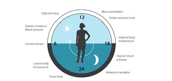 Circadian scientists who have studied light's impact win Nobel