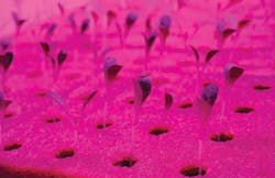 LED technology serves rapidly growing horticultural lighting market LED technology serves rapidly growing horticultural lighting market