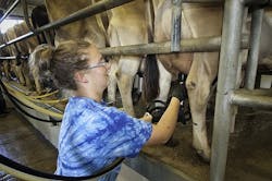 LED lighting increases milk production at Michigan dairy LED lighting increases milk production at Michigan dairy