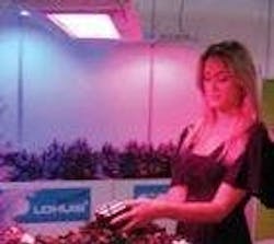 677eb73bbf22ee696e45d25c Content Dam Leds En Articles 2010 11 Miniature Spe 677eb73bbf22ee696e45d25c Content Dam Leds En Articles 2010 11 Miniature Spe