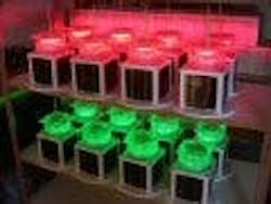 677eb7e7aa3a12f2fcb24965 Content Dam Leds En Articles Print Volume 2 Issue 677eb7e7aa3a12f2fcb24965 Content Dam Leds En Articles Print Volume 2 Issue