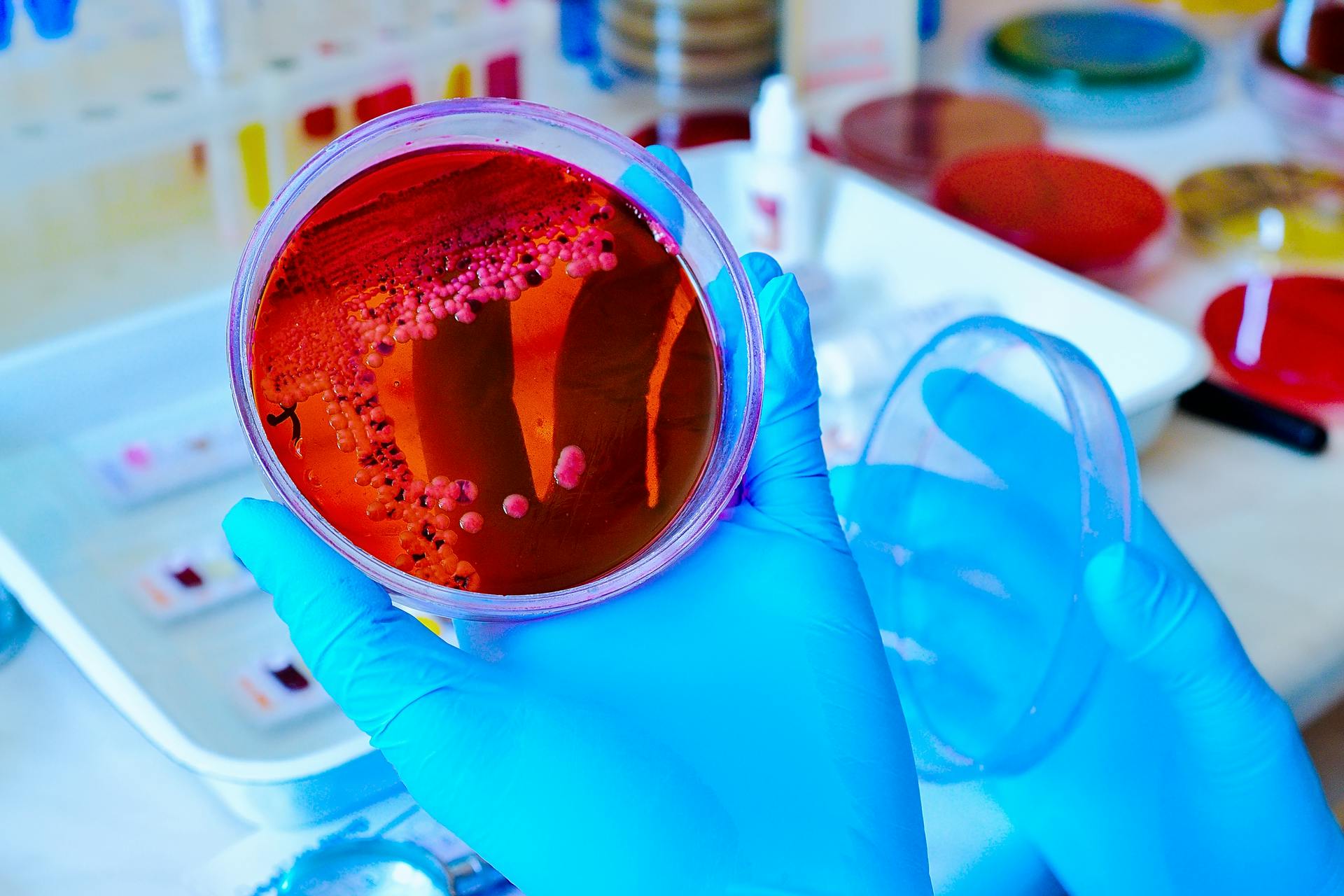 677eb8af2089a2816d957d04 Dreamstime Xl 131289960