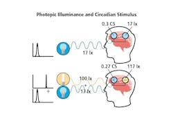 FIG. 1. Example of how the biological clock perceives light signals differently than the visual system. (Image credits: All illustrations and tables courtesy of Allison Thayer, Lighting Research Center, except where expressly indicated.) FIG. 1. Example of how the biological clock perceives light signals differently than the visual system. (Image credits: All illustrations and tables courtesy of Allison Thayer, Lighting Research Center, except where expressly indicated.)