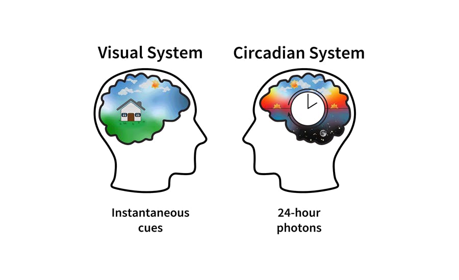 Image credit: Graphic by Allison Thayer, Lighting Research Center (LRC).