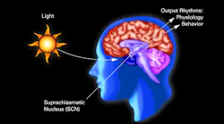 Image credit: Circadian Rhythm illustration from the National Institutes of Health, US Department of Health and Human Services. As a work of the US federal government, the image is in the public domain. (Source: Circadian Rhythms Fact Sheet; https://bit.ly/30VNTLo.)